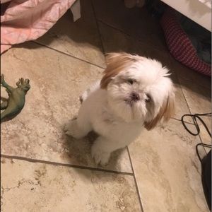 Meet your Posher, Nadia